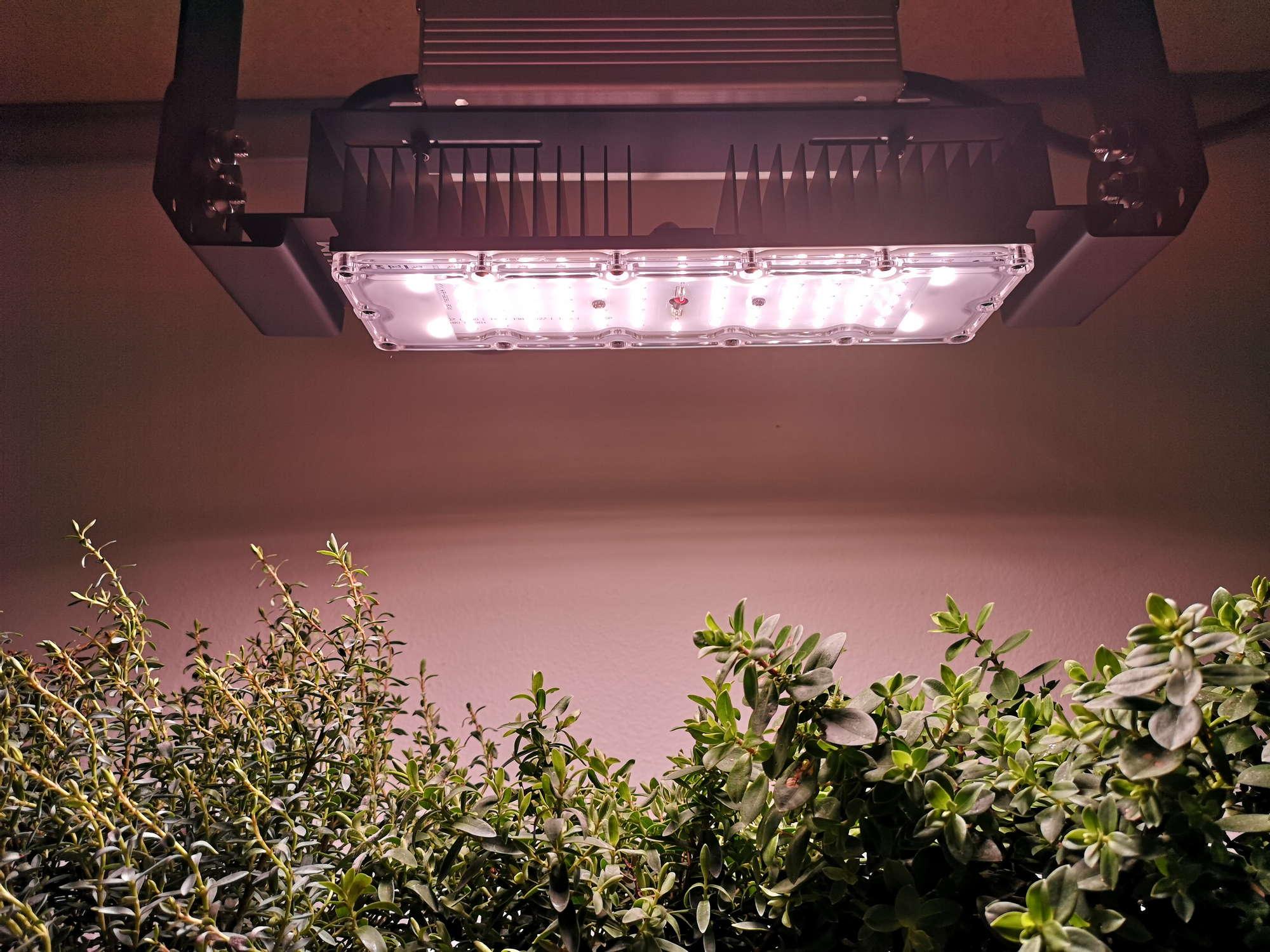 LED kertészeti növénynevelő lámpa